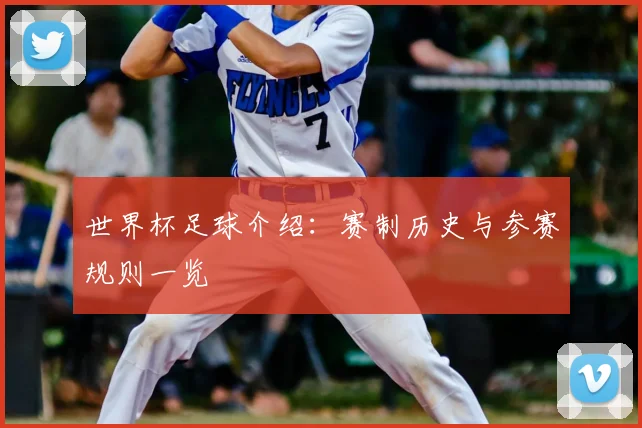 世界杯足球介绍：赛制历史与参赛规则一览