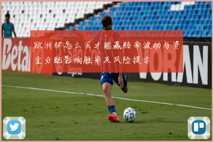 欧洲杯怎么买才能赢赔率波动与资金分配影响胜率及风险提示