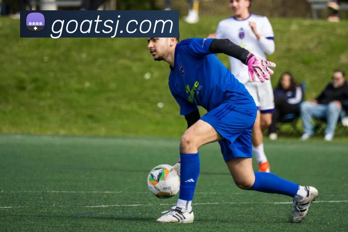 乐竞体育登录方式平台生态图